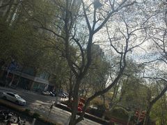 -星巴克臻选(南京艾尚天地店)