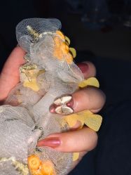 手部美甲-蕾蕾美甲美睫