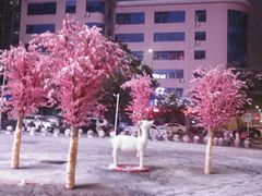 -五洲国际广场(文峰路店)