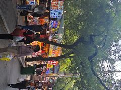 -马文章胖子甑糕(洒金桥店)