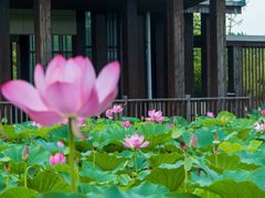 -江苏三台山国家森林公园