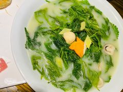浓汤桑叶-广东道至正餐厅(区庄店)