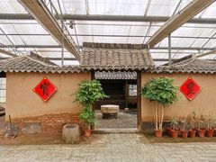 -上海都市菜园
