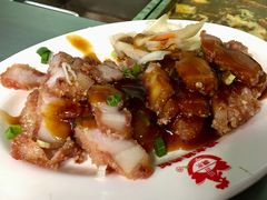 红槽肉-喷水鸡肉饭(北港店)