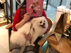 -宝山路(地铁站)