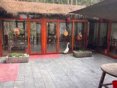 -小小饭店·休闲农庄·安吉松树林里的农家菜
