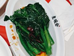 -老碗会·陕西手工面(前海世茂店)