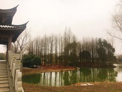 景点-梁鸿国家湿地公园