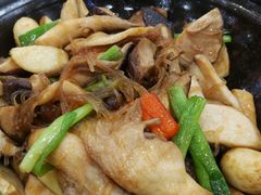 杂菌煲-姚林轩
