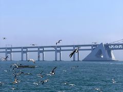-星海广场