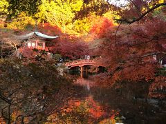 -醍醐寺