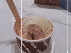 -哈根达斯(国瑞店)