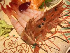 -森味薪火烧•烧鸟居酒屋•日本料理(望京店)