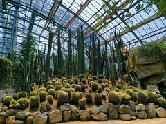 -南山植物园