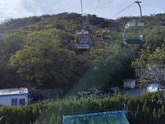 -富斯特索道