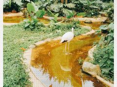 -海南热带野生动植物园
