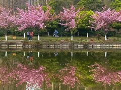 -成都南湖公园