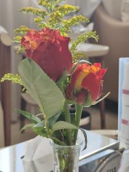 -韩辰医疗美容医院