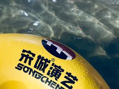 -杭州浪浪浪水公园