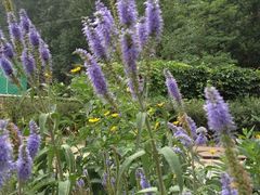 景观位-劳模山庄