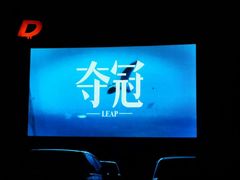 -枫花园汽车电影院(朝阳公园店)