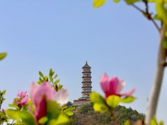 -北坞公园