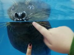-左海海底世界