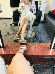 点击看大图 -IP SALON