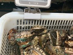 -盒马鲜生(大成店)