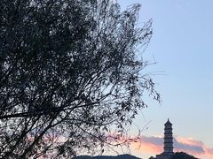 -北坞公园