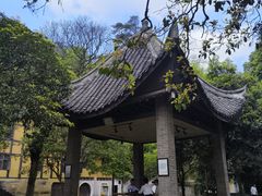 -缙云山景区
