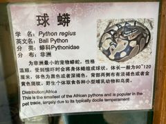 -上海大自然野生昆虫馆(东方明珠·爬宠昆虫探索中心)