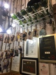 -YESIDO椰岛造型