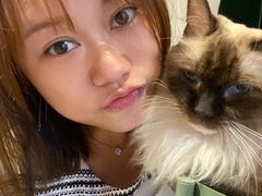 -猫儿山۰猫主题餐厅
