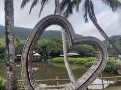 -呀诺达热带雨林