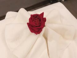 -香榭丽舍·海菲秀·皮肤管理痘敏肌修护