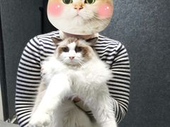 -零纪元VR体验馆·桌游(黄浦店)