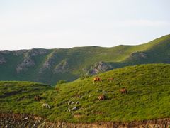 -灵山