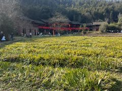 -常德桃花源景区