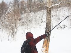 -雪谷