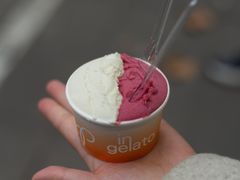 -Dip in Gelato(富民路店)
