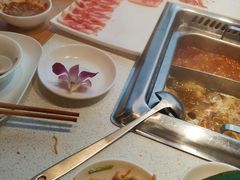 -颐辰舍岁岁羊(文昌万达景园店)