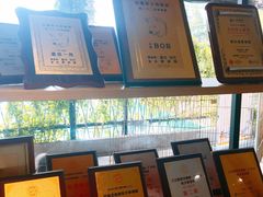 -柴犬高等学院·狗咖·柴犬售卖·宠物训练