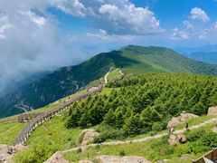 -白草畔自然风景区