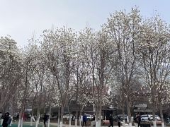 -天津五大道文化旅游区