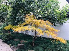 -秋霞圃