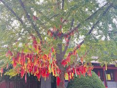 -石岛赤山风景区