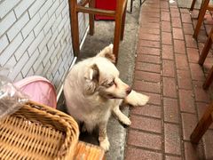 -豆舞咖啡(民乐路店)