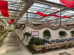 -上海都市菜园