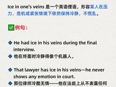 -引领英语·成人口语·雅思托福